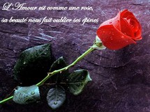 L'amour dure vraiment trois ans L'amour dure vraiment trois ans