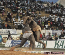 Zoss triomphe de Boye Niang Zoss triomphe de Boye Niang