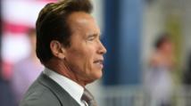 Arnold Schwarzenegger devient professeur d’université Arnold Schwarzenegger devient professeur d’université