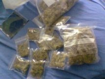 La gendarmerie met la main sur 150 kg de cannabis La gendarmerie met la main sur 150 kg de cannabis