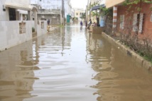 Dakar toujours sous les eaux après des pluies diluviennes (REPORTAGE) Dakar toujours sous les eaux après des pluies diluviennes (REPORTAGE)