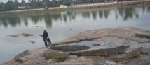 REGARDEZ. Drame à Yamoussoukro : Dicko Toké, le dompteur des caïmans, dévoré par ses sujets REGARDEZ. Drame à Yamoussoukro : Dicko Toké, le dompteur des caïmans, dévoré par ses sujets
