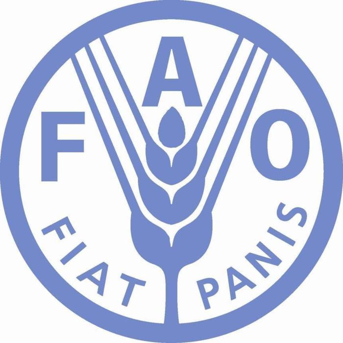Insécurité alimentaire : Selon la FAO, le Sénégal est à l’abri Insécurité alimentaire : Selon la FAO, le Sénégal est à l’abri