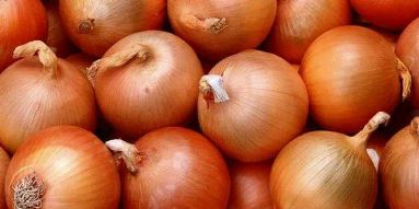 Reprise des importations d’oignons à partir de lundi