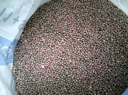 DÉTOURNEMENT ET VENTE ILLÉGALE À TAÏF - L’engrais acheté par les commerçants