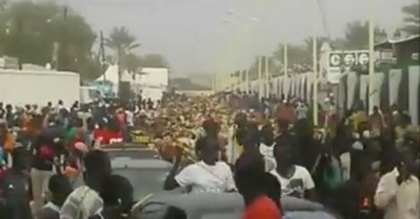 Magal Touba: Regardez l’impressionnante arrivée des bœufs chez Cheikh Bethio