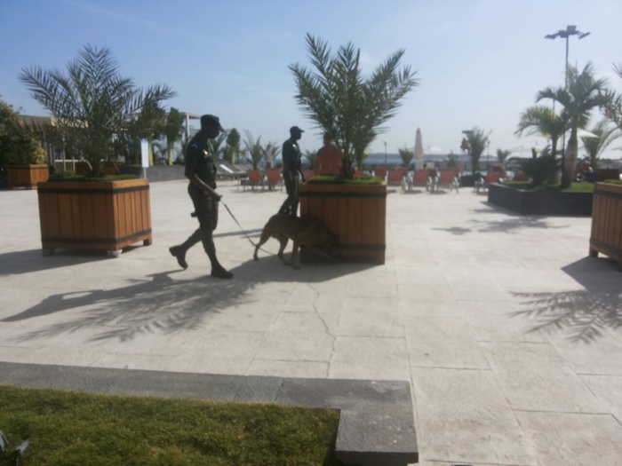 Déclaration de Barrow : La gendarmerie prend d'assaut le Terrou Bi