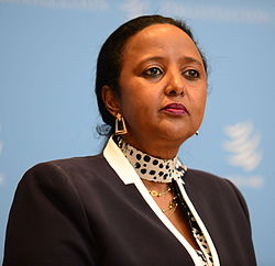 Ambassadeur AMINA MOHAMED, Candidate du Mouvement des femmes Africaines