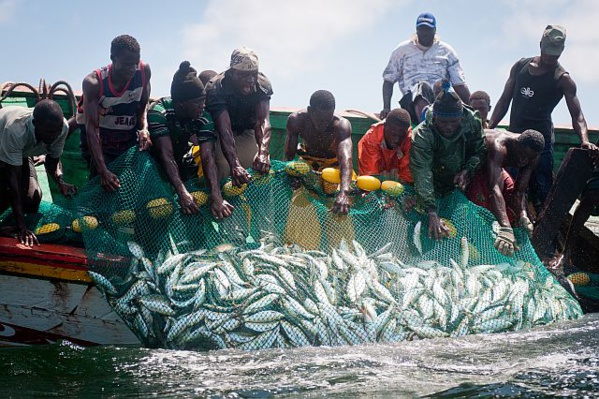 40 pêcheurs sénégalais expulsés de Mauritanie