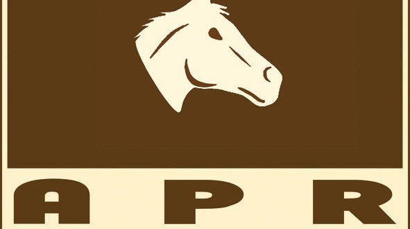 L’APR n’est pas un GIE (Groupement d’Intérêt  Electoral)