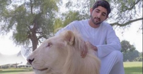 Vis ma vie de prince blindé à l'or noir : quand le Prince héritier de Dubaï se lâche