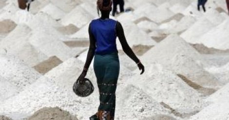 Hausse de 2,4% de la production de sel à fin février 2017