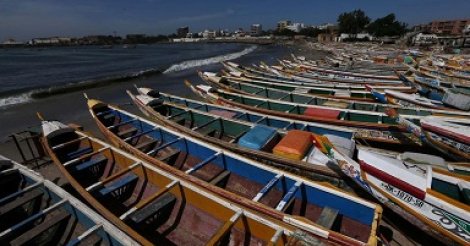 Au Sénégal, la surpêche menace la sécurité alimentaire