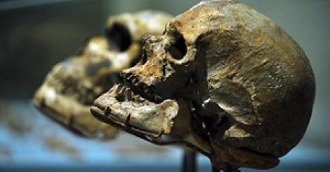 L'Homo sapiens aurait 100000 ans de plus qu'estimé jusqu'à maintenant