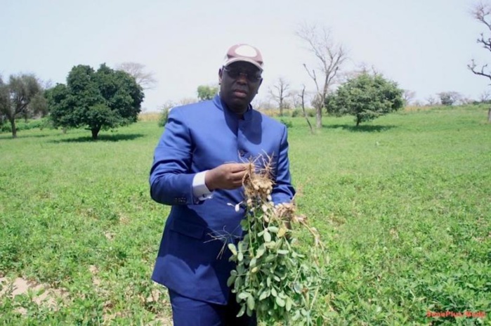 Agriculture: l’UEMOA félicite le Sénégal pour les « performances » du PRACAS Agriculture: l’UEMOA félicite le Sénégal pour les « performances » du PRACAS