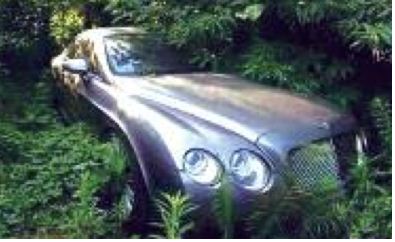 GAMBIE : La cache du parc automobile de Jammeh découverte