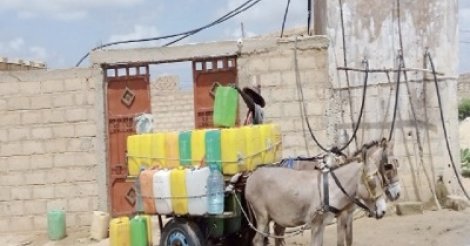 Commerce d’eau de puits à Mbacke : Une source de revenus très liquide