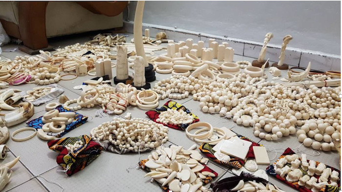 Criminalité Faunique : Saisie de 780 pièces d’Ivoire d’éléphant au marché artisanal de Soumbédioune