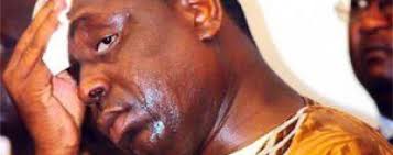 Benno dans tous ses états…