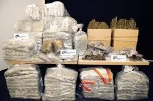 Espagne : un sénégalais arrêté avec 290 Kg de cocaïne