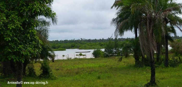 Atépa Goudiaby va mettre 50 milliards F CFA sur la table si…