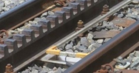 Infrastructure : Les rails du TER débarqués à Dakar