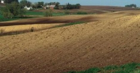 Vélingara : Litige foncier dans la commune de Pakour.