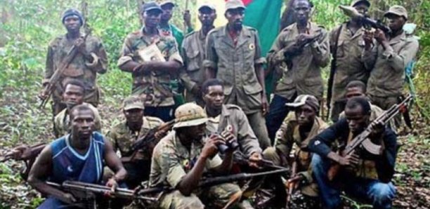 Casamance – Jonction entre Jungullars de Jammeh et rebelles Mfdc