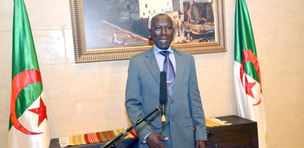 Sénégalais tué à Oran : L'ambassadeur du Sénégal en Algérie parle