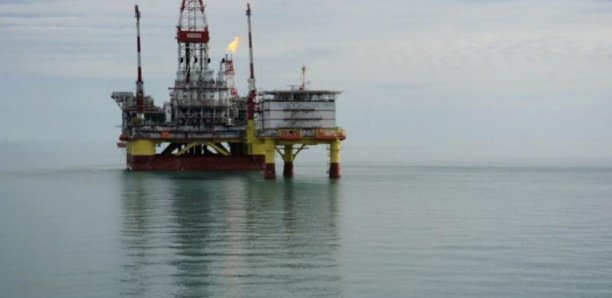 Terminal gazier Tortue/Ahmeyim : Eiffage et Saipem décrochent un contrat stratégique