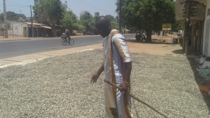 La campagne de commercialisation de l'anacarde se confronte davantage à des difficultés suite à l'interdiction du gouvernement du Sénégal