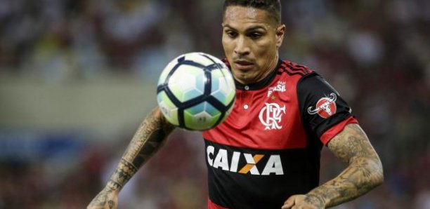 Pérou : Paolo Guerrero, suspendu pour dopage, manquera la Coupe du monde