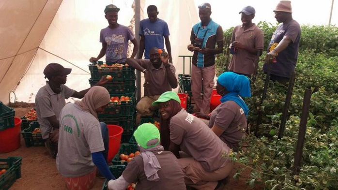 Le DAC de Sefa en marche.