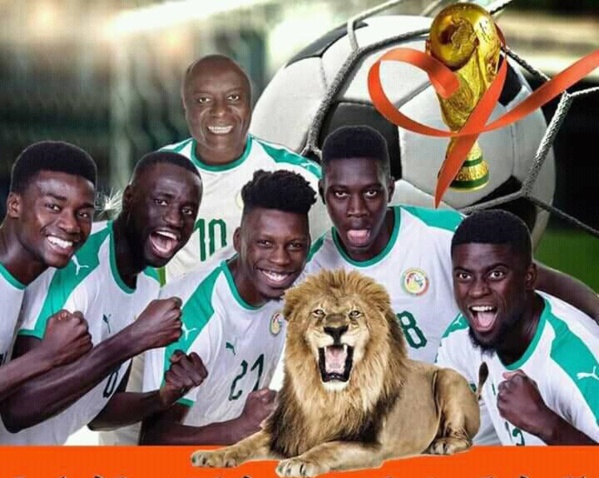Élimination des Lions, Idy reste positif