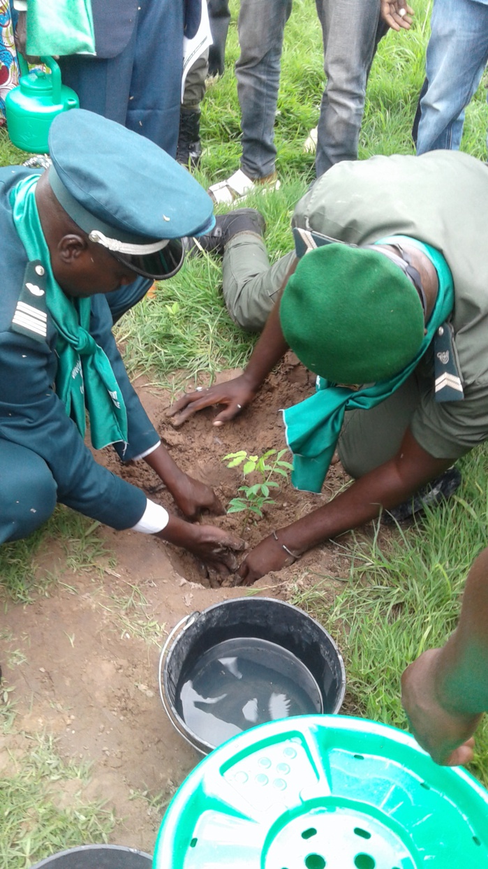 A l'instar des autres régions du Sénégal, la région de KOLDA a célébré ce dimanche 5 AOÛT la journée nationale de l'arbre A l'instar des autres régions du Sénégal, la région de KOLDA a célébré ce dimanche 5 AOÛT la journée nationale de l'arbre