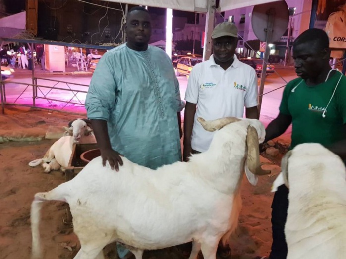 80 moutons de la mutuelle de la gendarmerie volés 80 moutons de la mutuelle de la gendarmerie volés