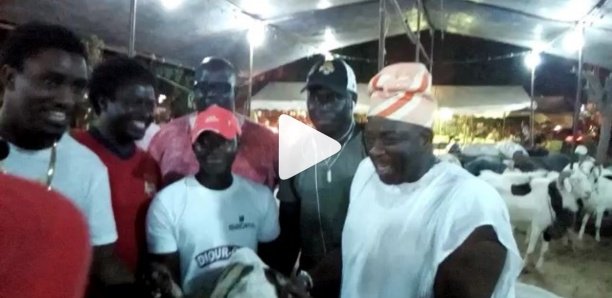 Tabaski : Wally a eu son mouton à 1,5 million