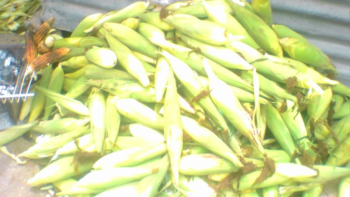 Kolda : les premières récoltes sur le marché Kolda : les premières récoltes sur le marché