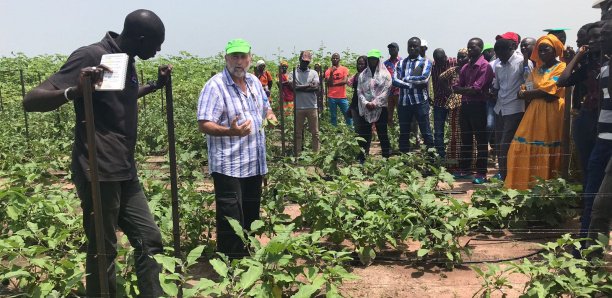 13 milliards de francs Cfa concentrés sur les travaux du Dac à Kolda