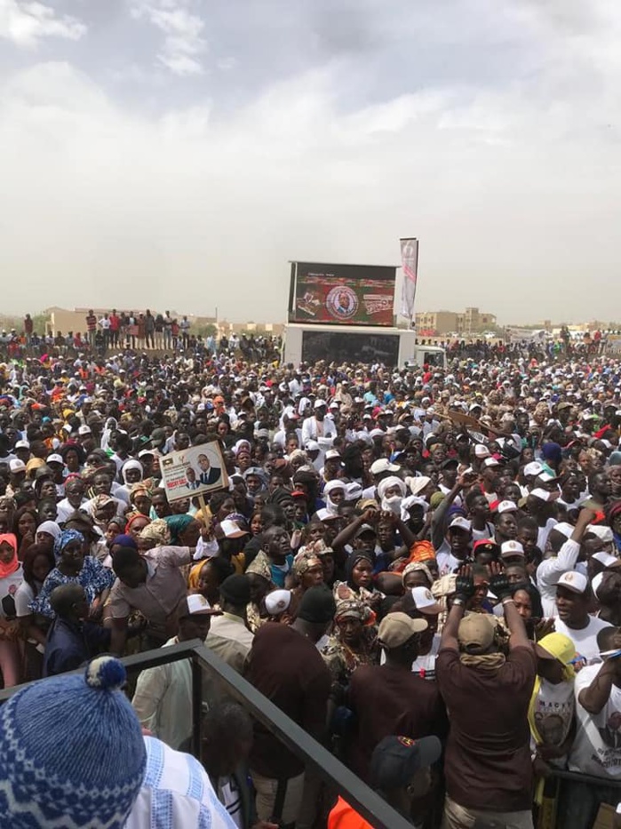 Présidentielle 2019 : Macky Sall aux Podorois : « Si vous me renouvelez votre confiance... » Présidentielle 2019 : Macky Sall aux Podorois : « Si vous me renouvelez votre confiance... »