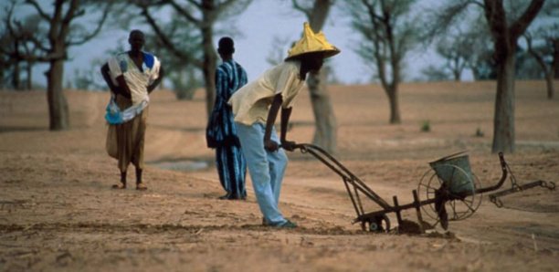 Campagne agricole 2018 : "Les chiffres qui ont battu tous les records de production"