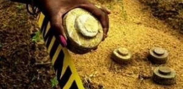 Casamance : 16 démineurs enlevés par des bandes armées