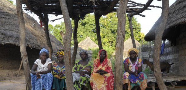 Les opérations de déminage suspendues en Casamance