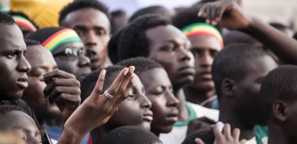 Sénégal-Algérie (0-1) : Les images de la déception des fans des Lions