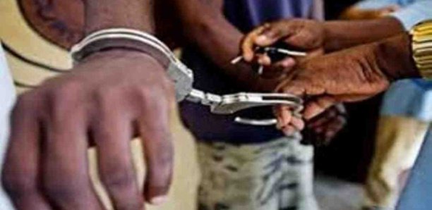 Dakar: 16 individus arrêtés par la police pour trafic et détention de drogue