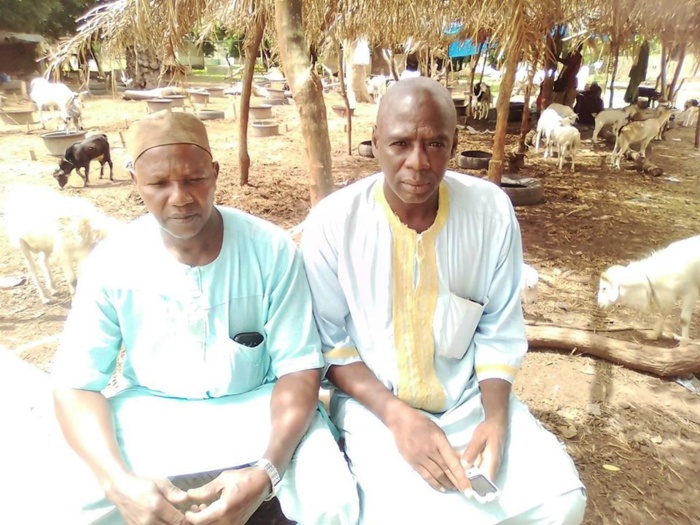 Kalidou Sané, président régional des chevillards de Kolda