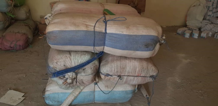 Kaolack : 300 kg de chanvre indien saisis par la Douane