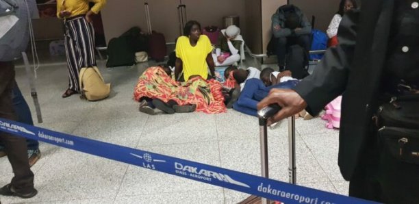 Affaire passerelle à l’Aibd : Royal Air Maroc accuse le gestionnaire de l’Aéroport