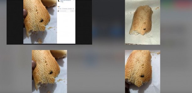 Brioche Dorée : Ici, on sert du pain avec des mouches cuites