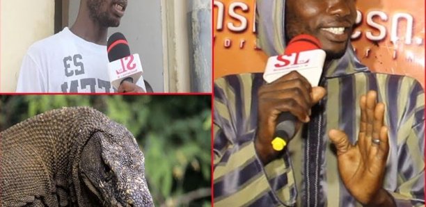 "Ndiaye Dragon" parle: "Je confirme, j'ai entendu un dragon..."